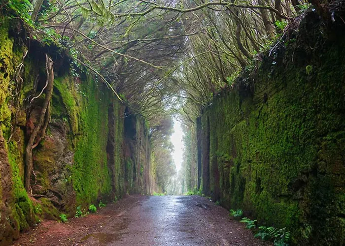 アパート Slam バハマル