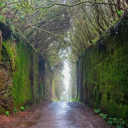 Daire Slam Bajamar (La Laguna)